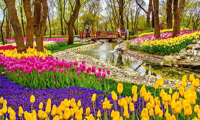 السفر إلى تركيا في الربيع
