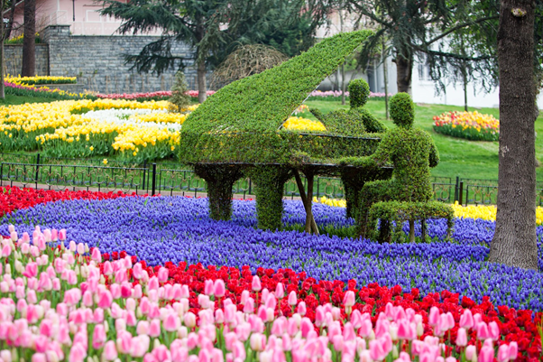 أفضل الوجهات السياحية في تركيا