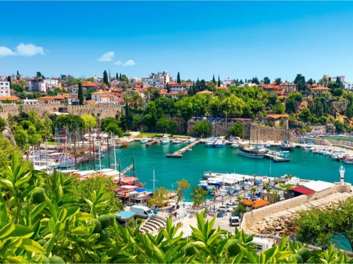 أماكن طبيعية في إسطنبول
أماكن لا يعرفها السياح في إسطنبول
أجمل مناظر تركيا إسطنبول
أماكن ترفيهية في إسطنبول