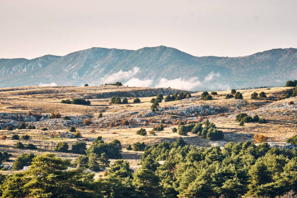 الريف التركي القريب من إسطنبول