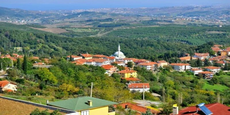 مواعيد رحلات يلوا