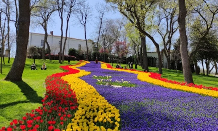 أفضل الفعاليات في اسطنبول