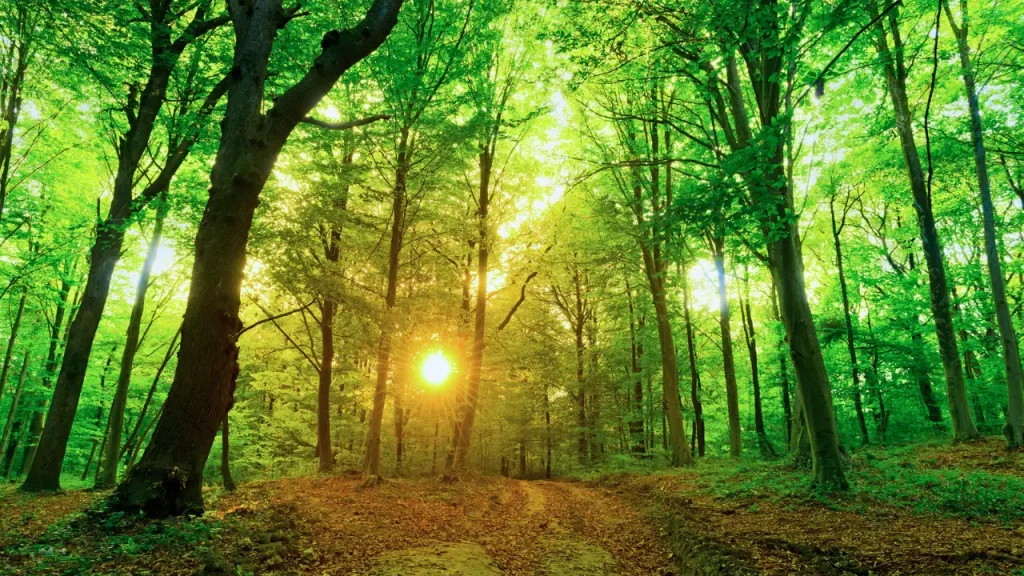 أفضل الفعاليات في اسطنبول