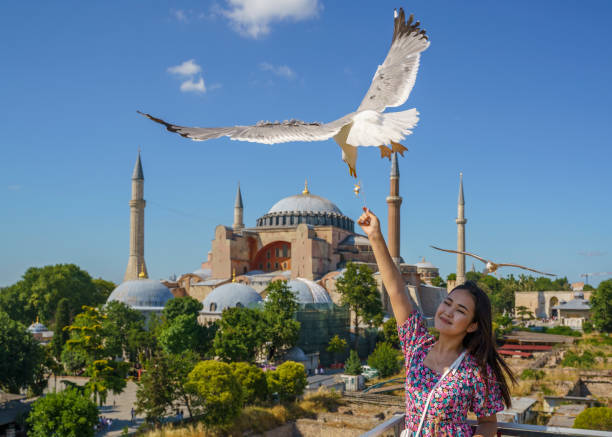 أهم البرامج السياحية في تركيا